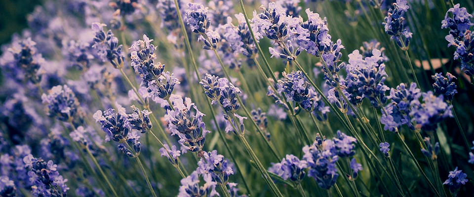 授权商城便捷的在线短信测压